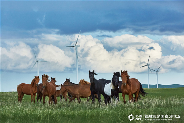 Xilingol Guotai Wind Farm